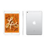 ipadmini-silver-cellular-2